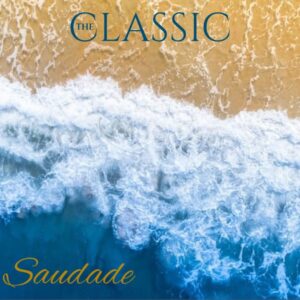 The Classic - Gaivota