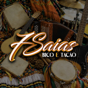 7 Saias - Bico e Tacão